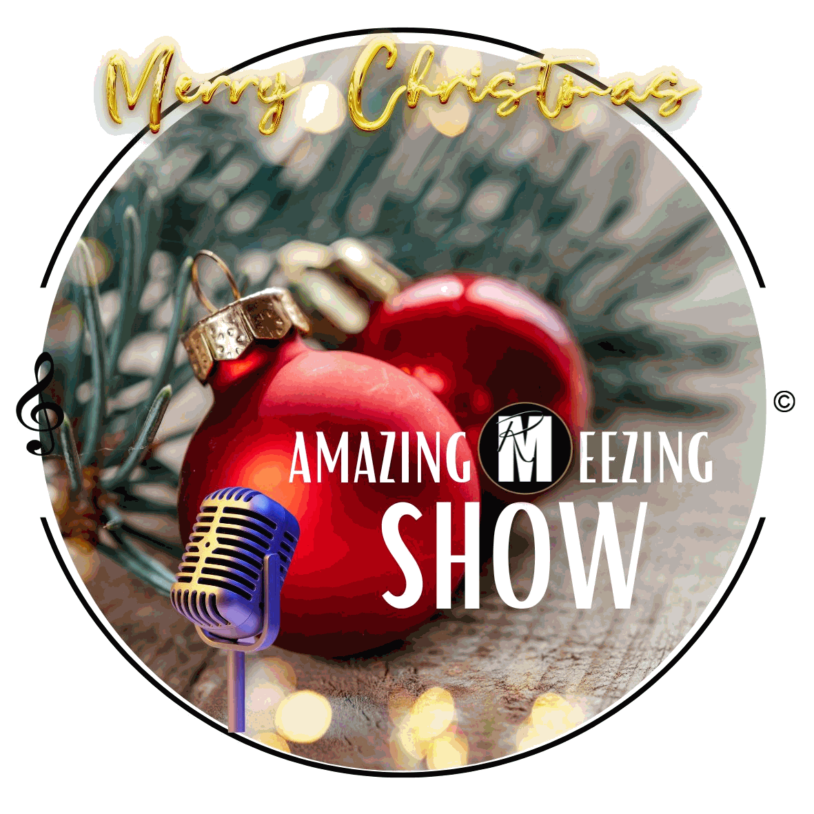 Amazing Meezing Show, www.zorg-artiesten.nl